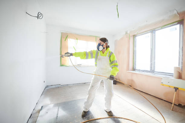 Mold Odor Removal Services in Newark, OH