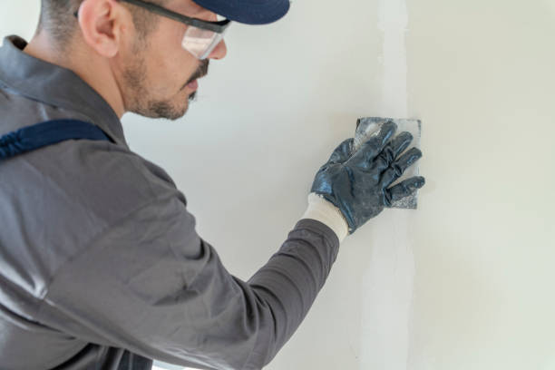 Best Basement Mold Removal  in Newark, OH