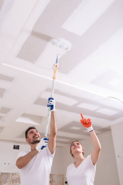 Best Mold Prevention Services  in Newark, OH
