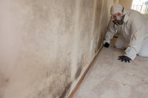 Best Airborne Mold Testing  in Newark, OH